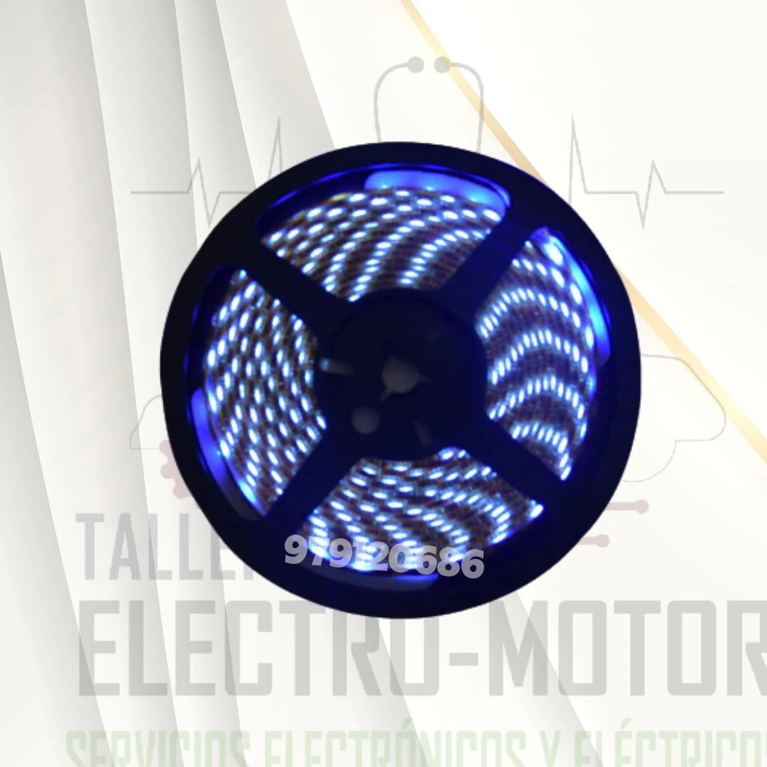 Cinta Led 12V